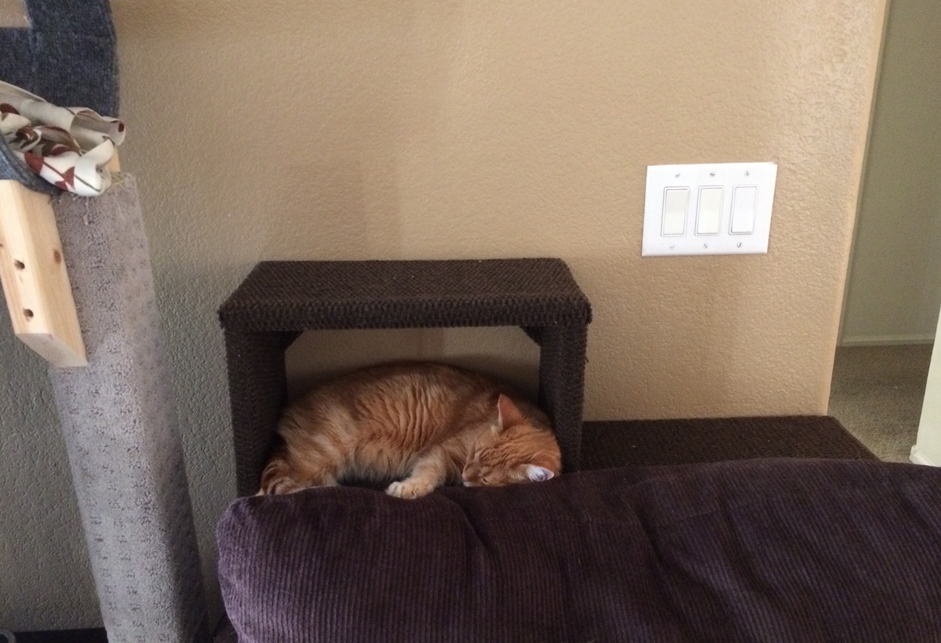 An orange tabby sleeping in the space between a step and the back of a chair.
