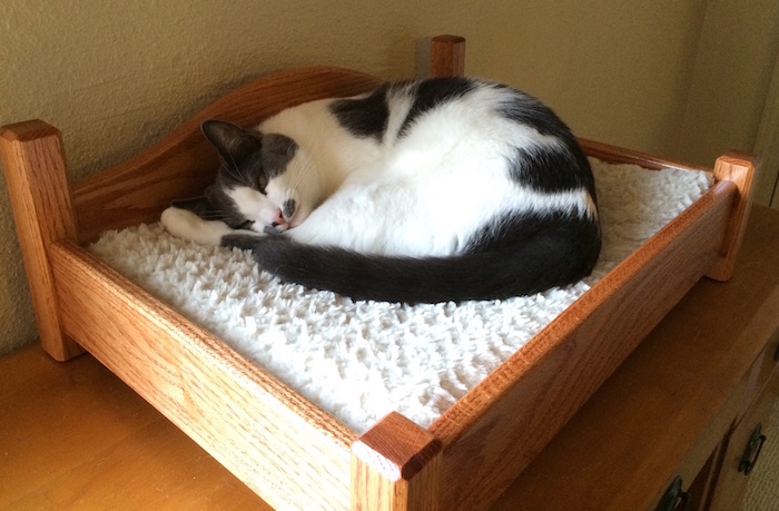 A cat sleeping on an oak cat bed.