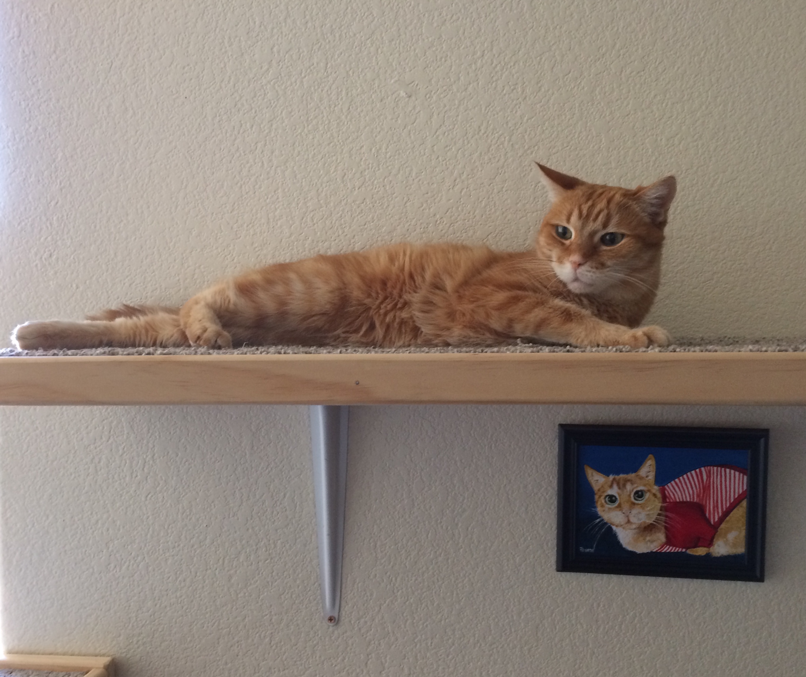 An orange tabby lounging on a carpeted cat shelf. A painting of the same tabby is visible on the wall beneath the shelf.